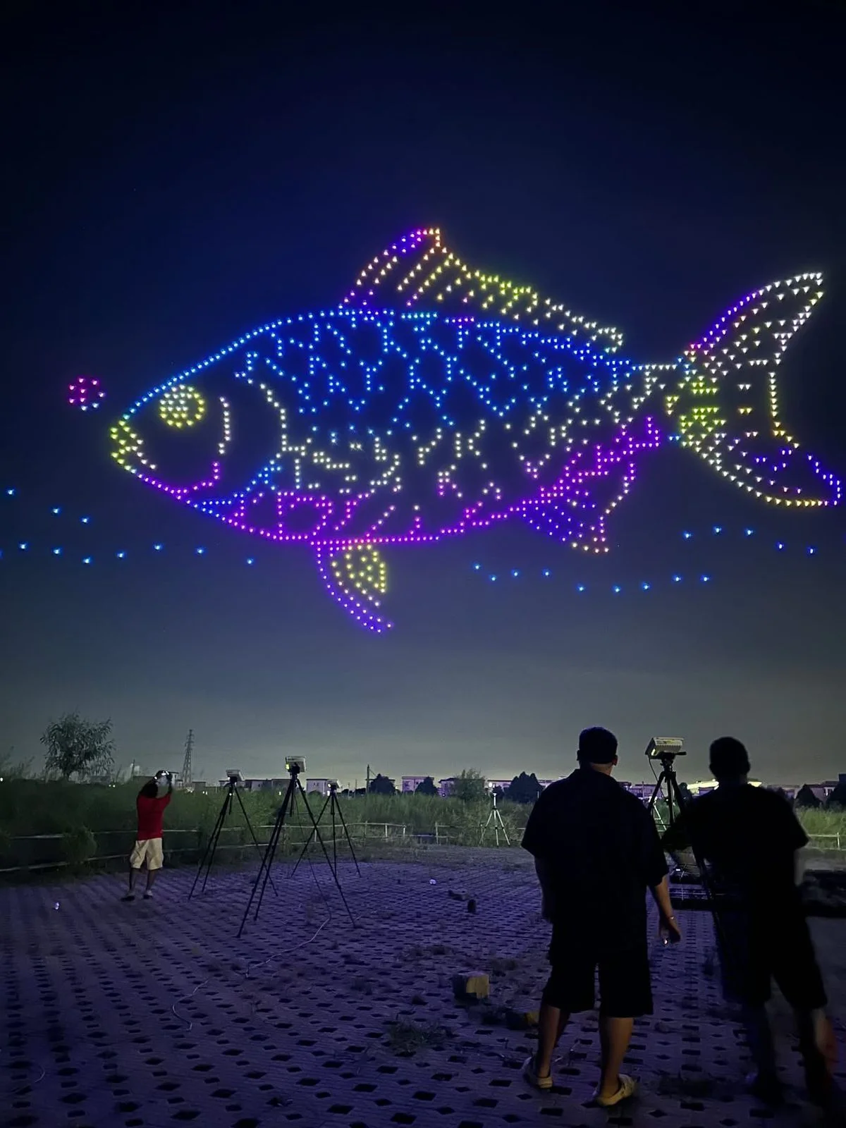 Aerial Entertainment